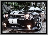 Wlot, Dodge Challenger STR8, Zderzak